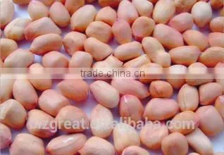 Supplying Raw Bulk Peanut Kernele Baisha Type for Sales photo-5