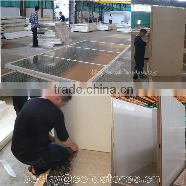 Blast Freezer Cold Room With Standard Size Polyurethane Insulated photo-5