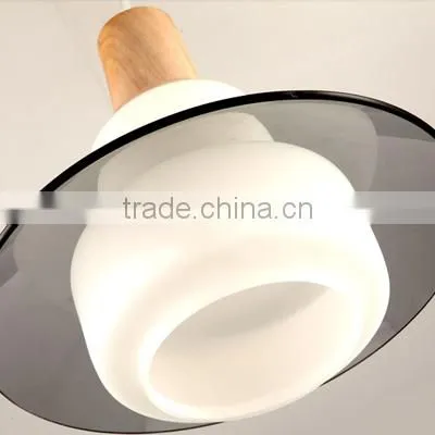 New Design Guzhen Waterproof Indoor Pendant Light photo-4