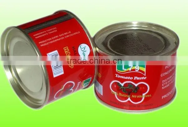 70G China Factory Hot Sell Nature Canned Tomato Paste photo-2