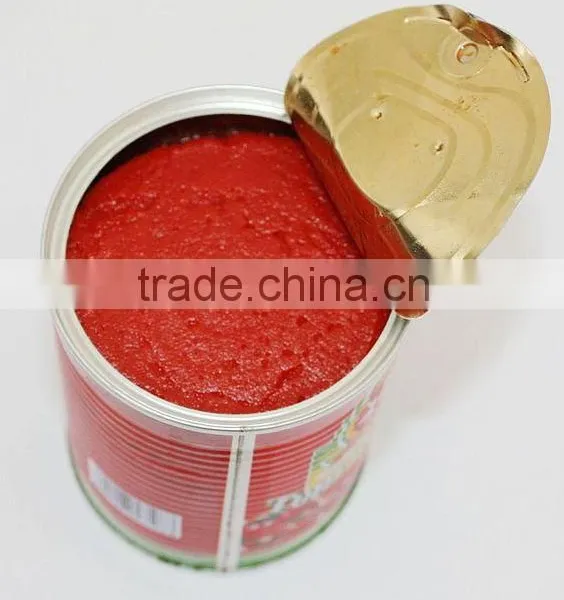 Tomato Paste With Good Quality Fresh Tomato Paste photo-6