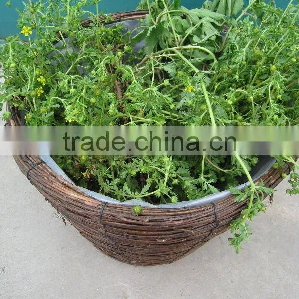 Garden Willow Basket Hunging Willow Basket