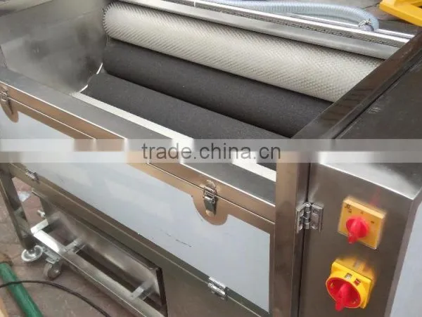 MSTP-500 Large Capacity Potato Polishing Polisher Machine photo-2