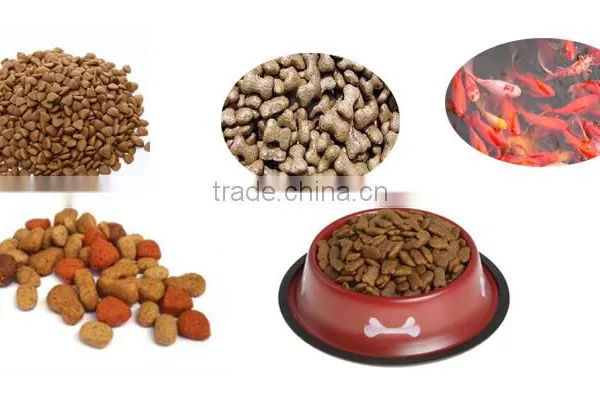 CE Approved Can Make Pet Food Small Fish Feed Extruder for Sale photo-6