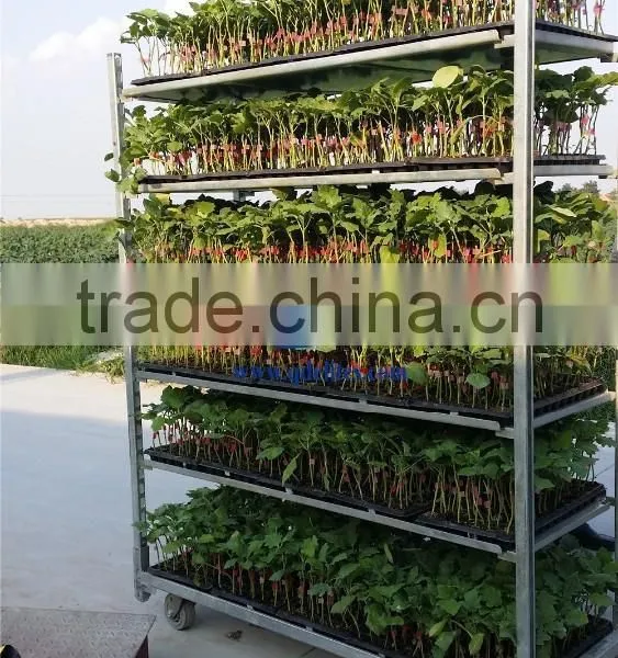 124 Seedling the Flower and Pot Plant Trolley , Seedling Pool Rack, Seedling Pot Plant Trolley photo-3