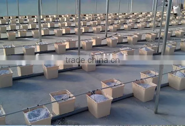 High Quality PP PE Dutch Buckets for Hydroponic Systems photo-6
