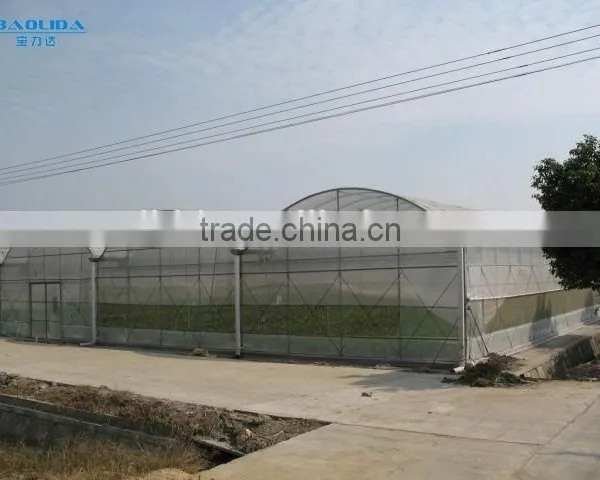 Baolida Low Cost Fruits and Vegetables Greenhouse Kits photo-4