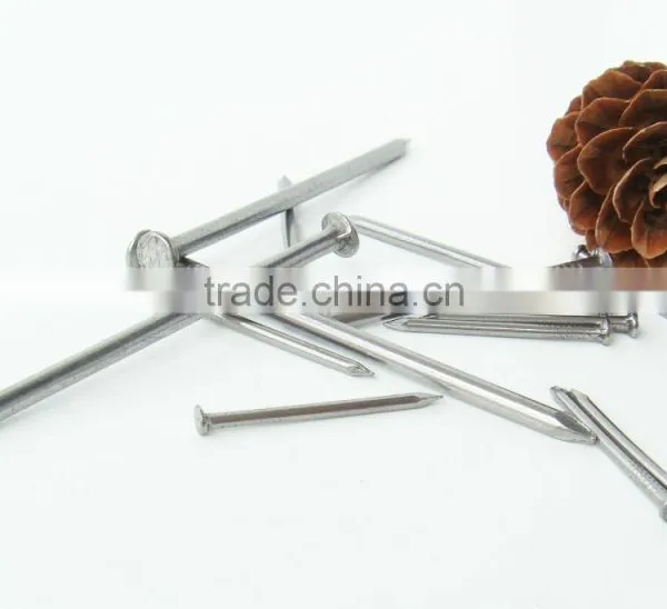 Round Nail/round Wire Nails photo-3