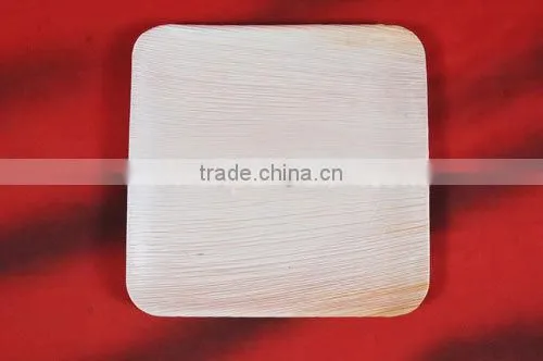 DISPOSABLE NATURAL TABLEWARE photo-3