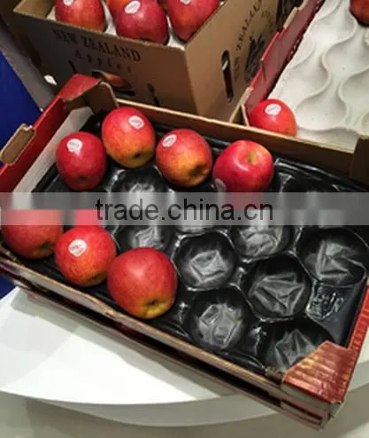 PP Nest Liner For Stone Fruit photo-5
