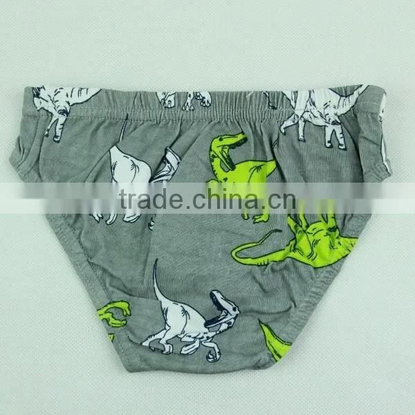 Trendy Boy Underwear Sexy Boys Photos In Underwear Custom Underwear photo-4