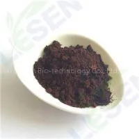 Antrodia Camphorata Extract