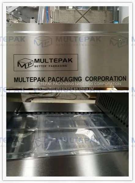 Multepak Thermoforming Vacuum Packing Machine photo-2