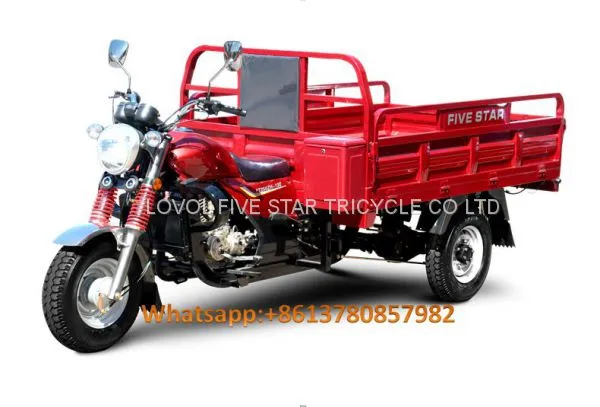 Gasoline Tricycle Cargo Loader Lovol Three Wheeler Mali Ethiopia Ghana Bukina Faso Tanzania Kenya Senegal Togo Benin Nigeira Mauritania Angola Burundi Chad Cameroon C ô te D'Ivoire Gabon Guinea Mozambique Rwanda Congo Uganda Zimbabwe photo-2