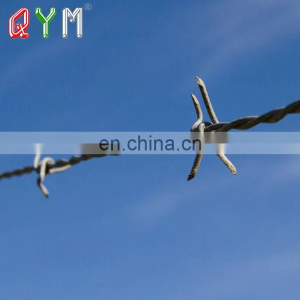 Price Meter Reverse Twist Barbed Wire In Egypt Gi Barbed Wire photo-3