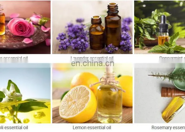 10-30L Lemon Essential Oil Distillation Equipment photo-3