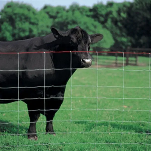 Multi-size High Pasture Fence for Goat Farming Grassland Cheap Field Fence photo-5