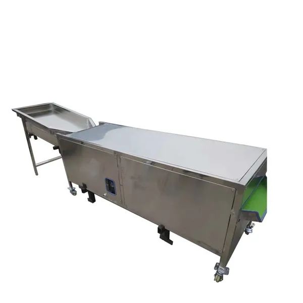 Stainless Steel Fruit Sorting Machine for Sale photo-6