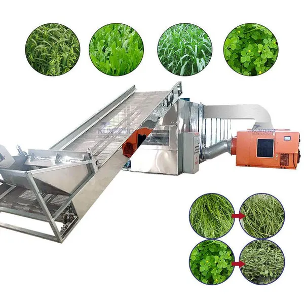 Industrial Automatic Heat Pump Mesh Belt Animal Feed Fodder Hay Dryer Machine