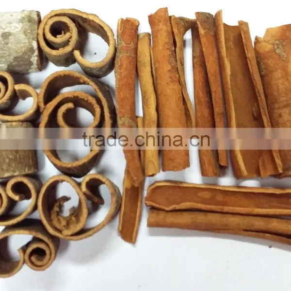 Round Cut CASSIA From Vietnam 2016