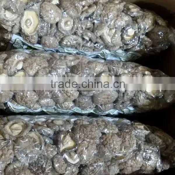 Dried Smooth Mushroom photo-5