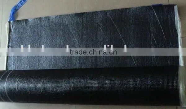 SBS/APP Waterproof Membrane Waterproofing Materials for Concrete Roof photo-3