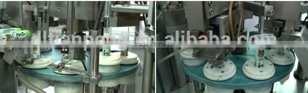 Wasabi Powder of High-standar Quality China Reliable Supplier photo-2