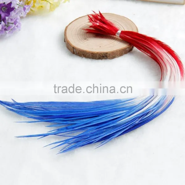New Arrival Beautiful Ombre Real Hair Feather Extension photo-2