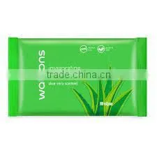 DWB Series Custom Pillow Automatic Wet Wipes Tissues Manufacture Packaging Machines in China photo-5