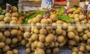 Canned Fresh Longan in Syrup -20 oz Tin (580 ml x 24 Tins) photo-2