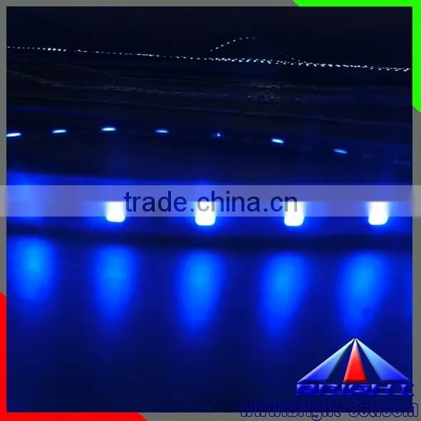 Epistar 5630 Blue Color LED Strip photo-5