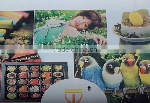 China Best Plastic Film Flexographic Printing Machine ,bag Flexo Printing Machine photo-3