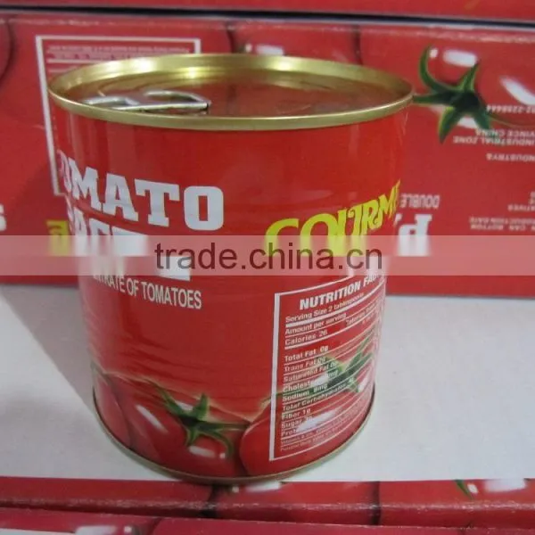 Factory Supply 800gram*12tins Tinned Tomato Paste photo-5