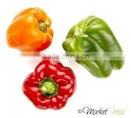 Pure and Natural Capsicum Oleoresin photo-2