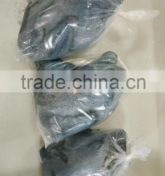 Halal Whole Frozen Chicken photo-2