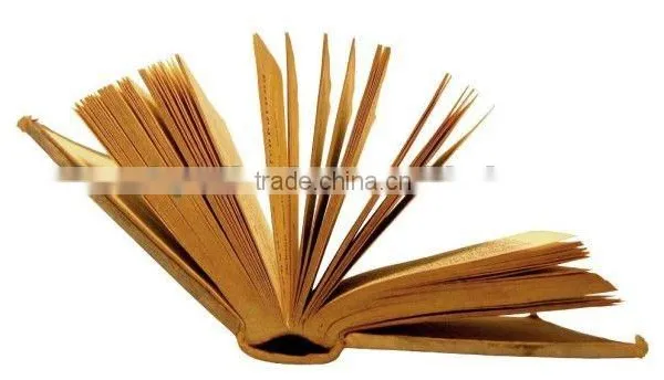 Water-based Adhesive for Book Binding (spine Glue ) photo-6