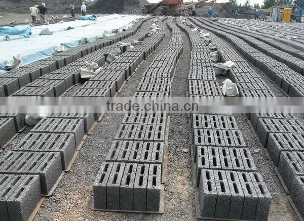 QMD4-45 Laying Block Making Machine Block Gal Machine in Sri Lanka Kenya photo-6