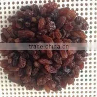 Dried Brown Sultana/Raisin photo-3