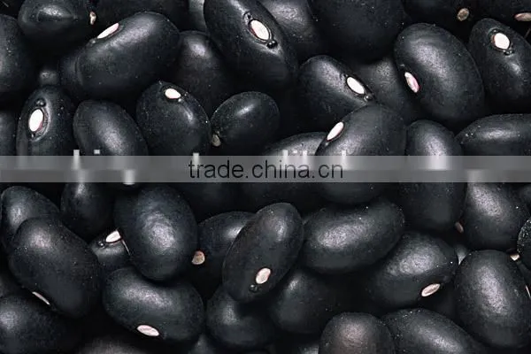 New Crop Kidney Beans, Black Beans With High Quality for Sale photo-3