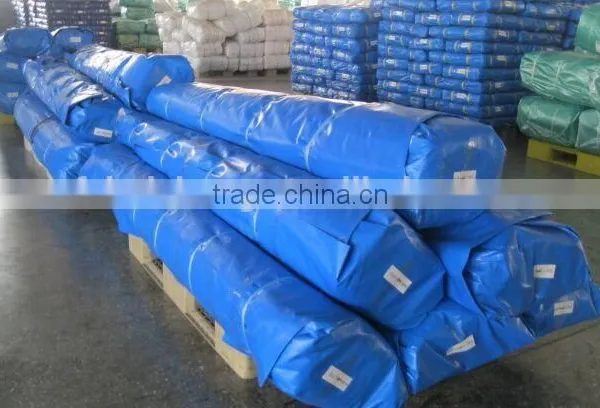 China Durable Laminated PE Tarpaulin Fabric in Roll Factory photo-2