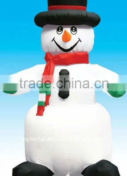 Air Blown Decoration photo-4