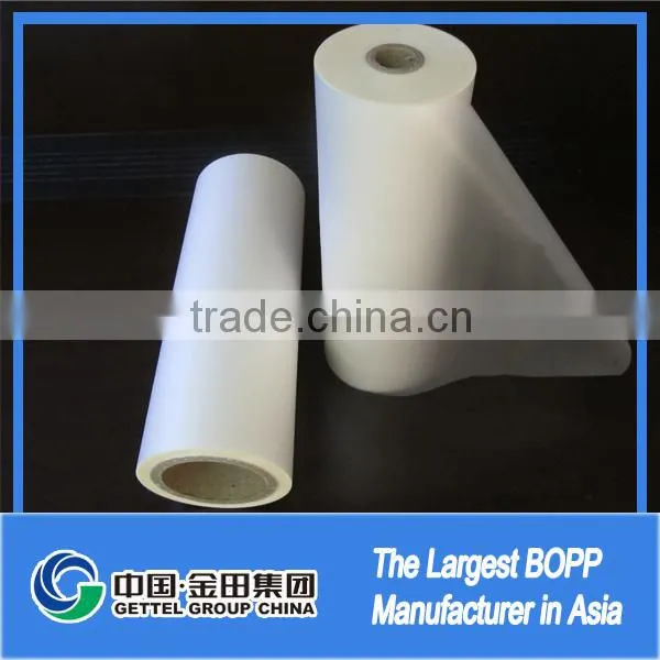 Bopp Pearlized Film for Ice Cream photo-2