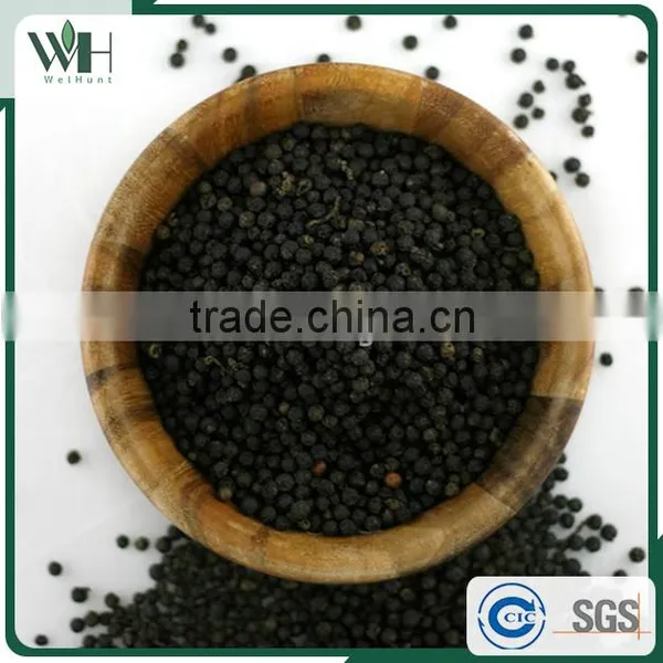 Cambodia Best Grade Black Pepper 550gl/500gl for Black Pepper Extract