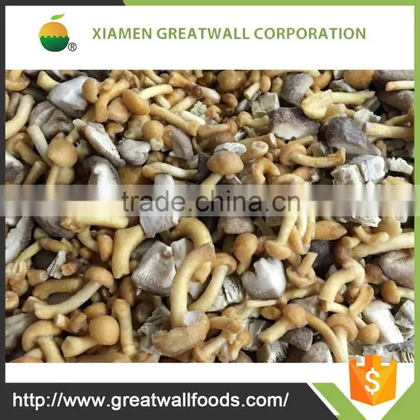 IQF Nameko / Shiitake / Oyster /Champignon Mushroom 4 Types Mushroom Buyers