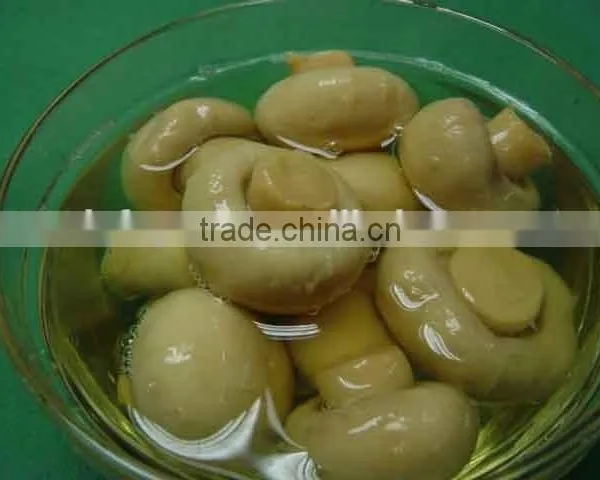 China Canned Mushrooms/canned Champignon/canned Shiitake Mushroom photo-6