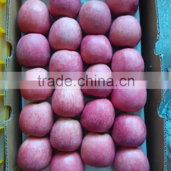 Fresh Apples photo-5