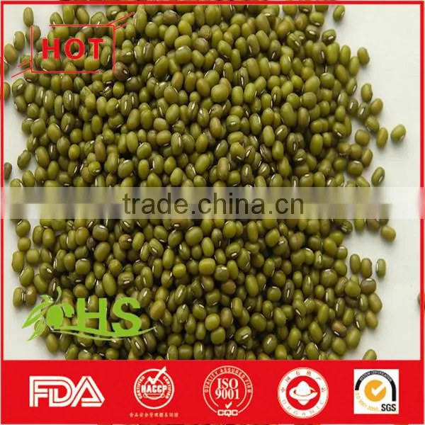 High Quality Green Mung Bean for Sale photo-3