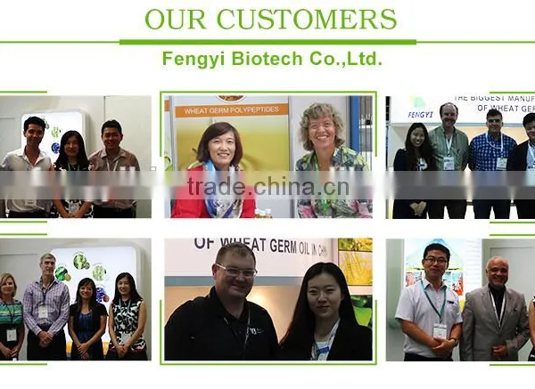 Wheat Polypeptides China Manufacturer photo-3