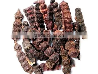 Shikakai Pods