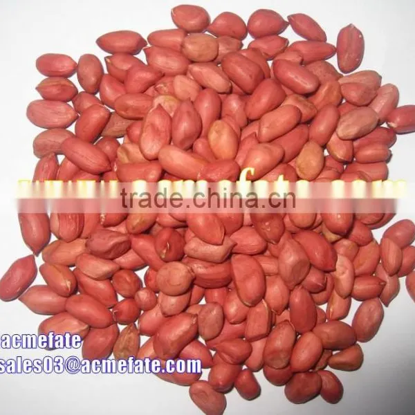 Wholesale Big Size Blanched Peanut Kernels(ground Nut Seeds) photo-3